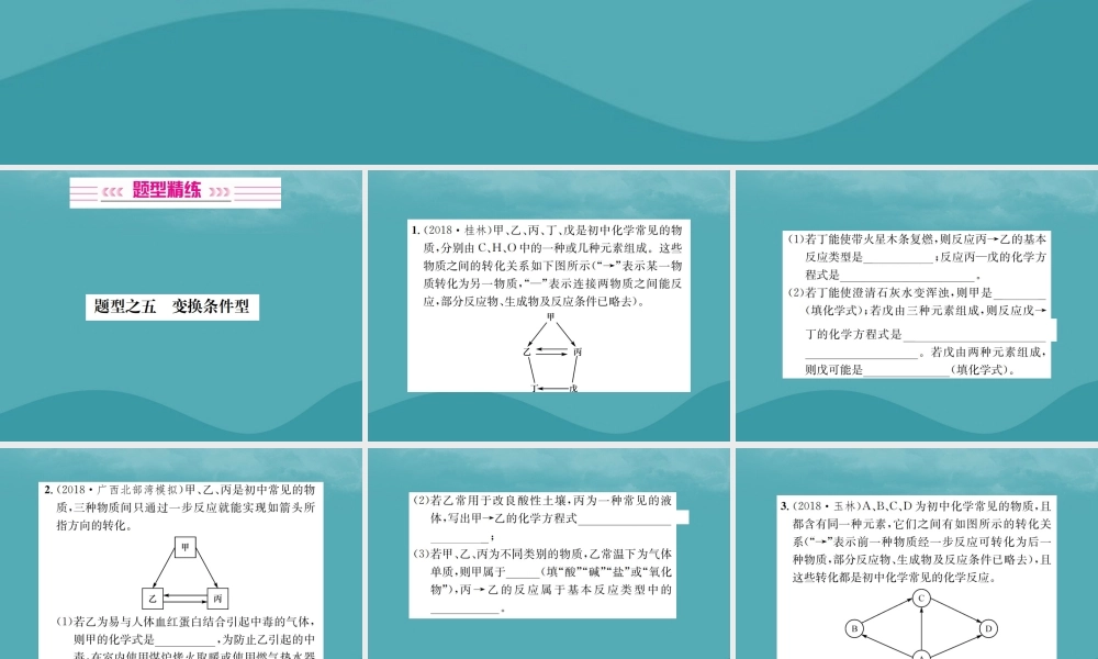 广西中考化学 中考6大题型轻松搞定 题型复习(二)推断题之5 变换条件型课件