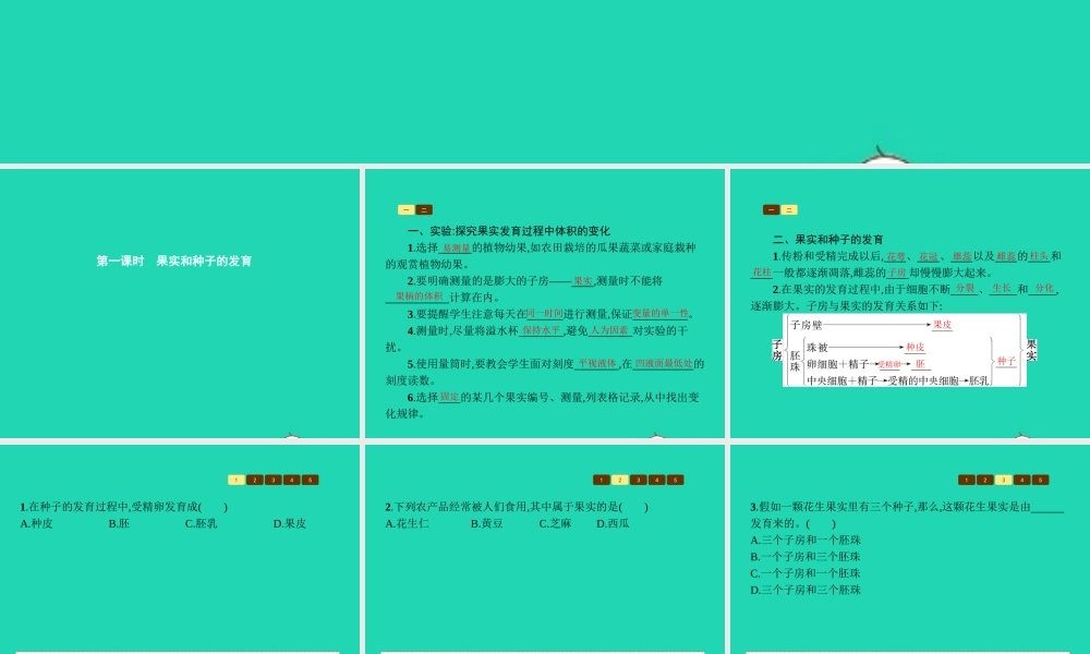 八年级生物上册 第四单元 第一章 第三节 果实与种子的形成(第1课时 果实和种子的发育)课件 (新版)济南版 课件
