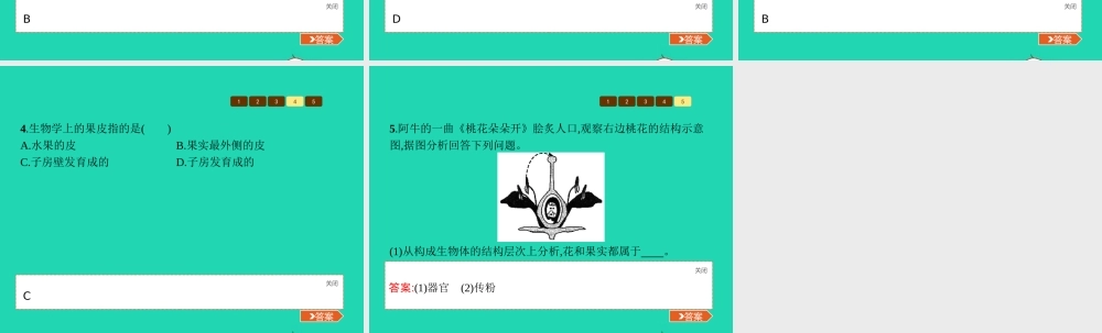 八年级生物上册 第四单元 第一章 第三节 果实与种子的形成(第1课时 果实和种子的发育)课件 (新版)济南版 课件