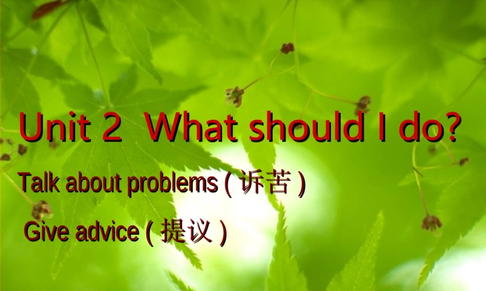 八年级英语Unit2 what should I do课件人教新目标版 课件