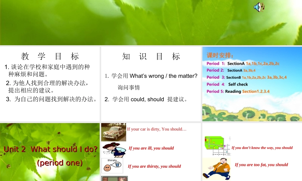 八年级英语Unit2 what should I do课件人教新目标版 课件