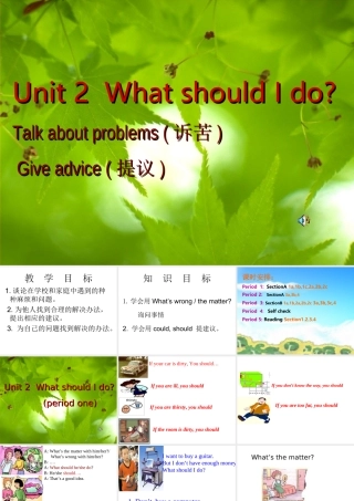 八年级英语Unit2 what should I do课件人教新目标版 课件