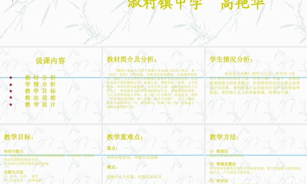 九年级语文下册(蒹葭)优秀说课课件(25页) 人教新课标版 课件