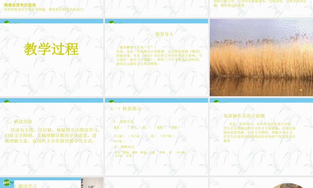 九年级语文下册(蒹葭)优秀说课课件(25页) 人教新课标版 课件