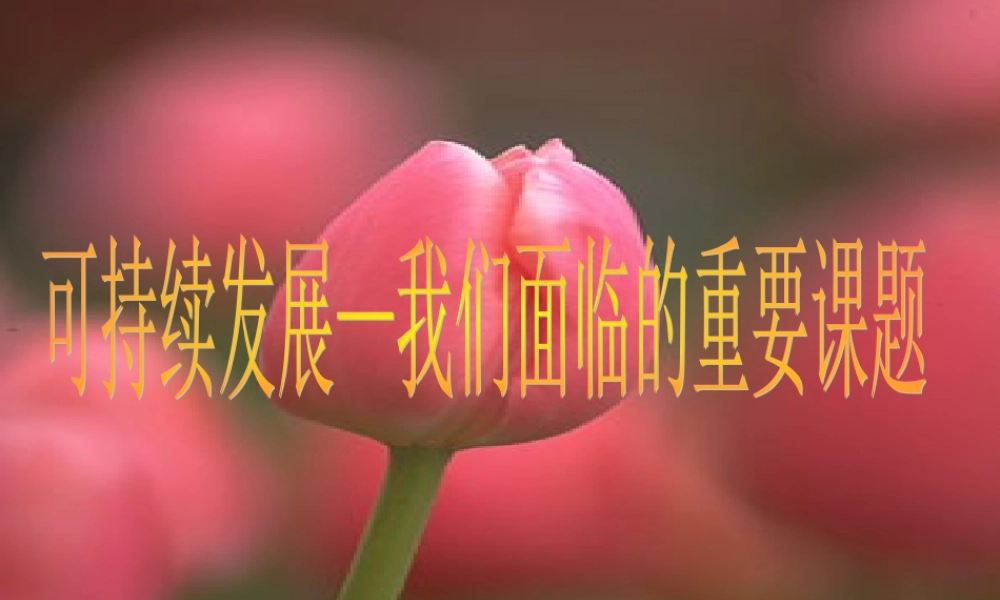 九年级政治 可持续发展—我们面临的重要课题课件 鲁教版 课件