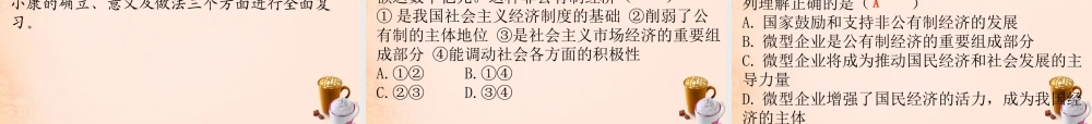 中考政治冲刺复习 第九章 经济建设课件