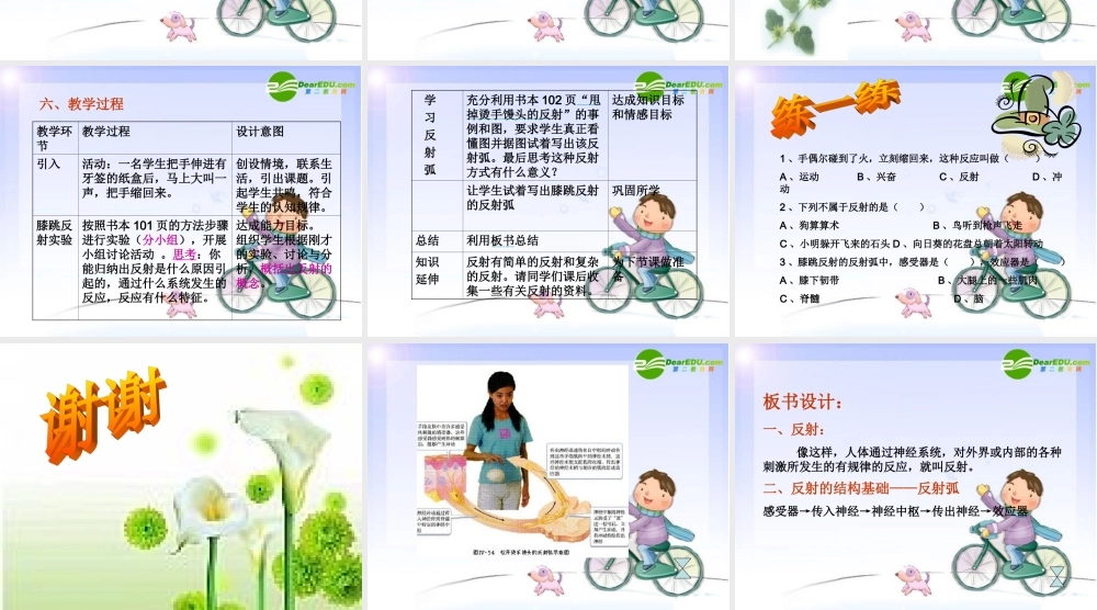 七年级生物下册 (神经调节的基本方式)说课课件 人教版 课件