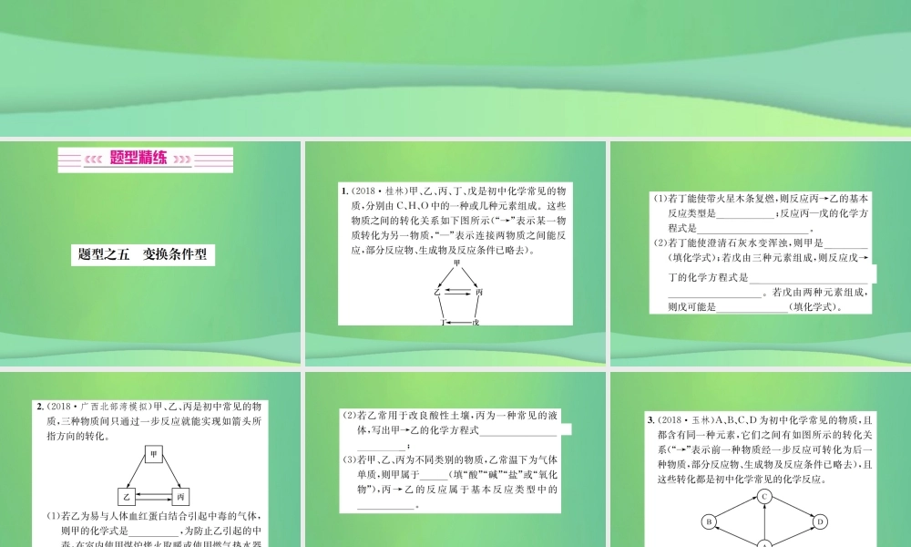 中考化学总复习 中考6大题型轻松搞定 题型复习(二)推断题之五 变换条件型课件