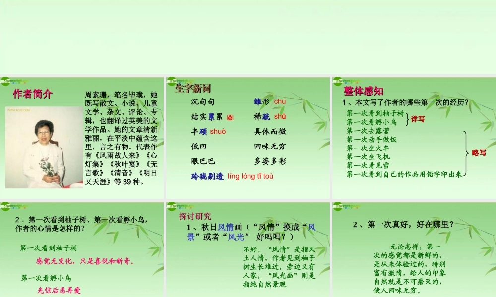 七年级语文上册 第一次真好课件 人教新课标版 课件