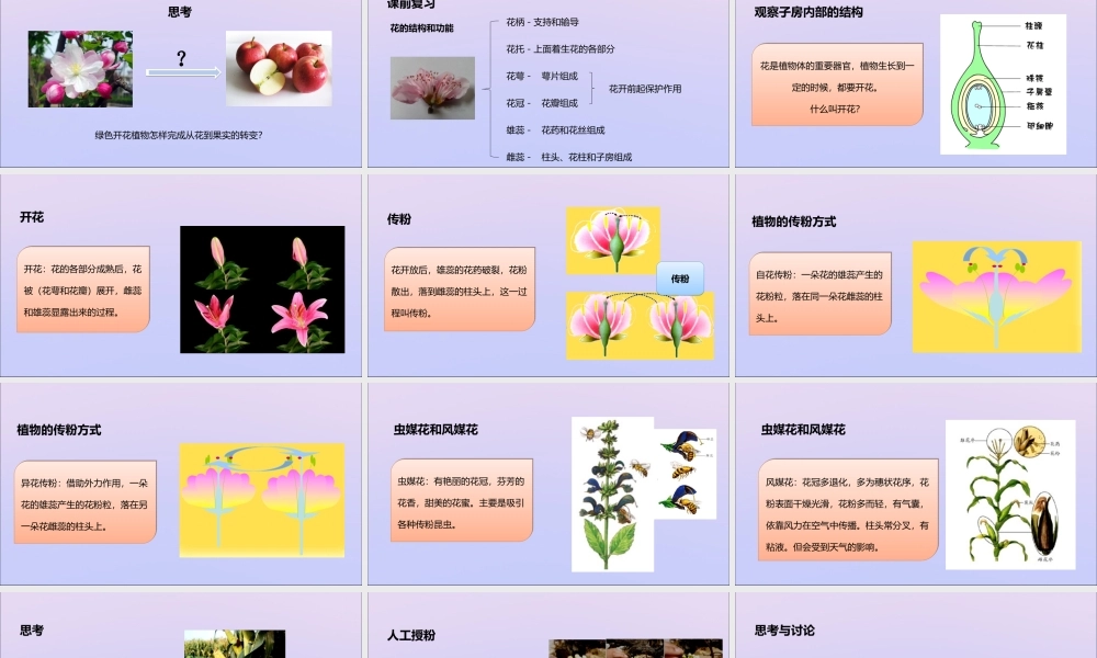 八年级生物上册 第四单元 物种的延续 第一章 绿色开花植物的一生 第二节 传粉与受精课件(新版)济南版 课件