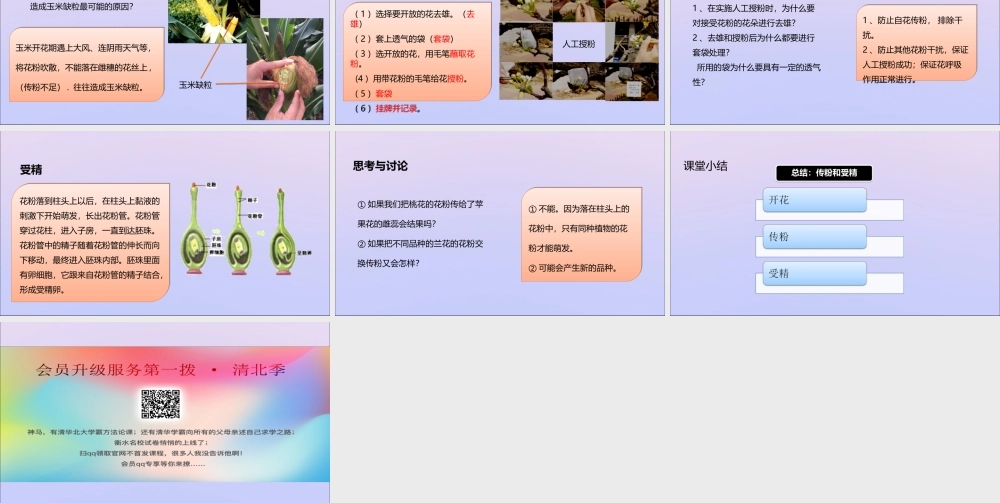 八年级生物上册 第四单元 物种的延续 第一章 绿色开花植物的一生 第二节 传粉与受精课件(新版)济南版 课件