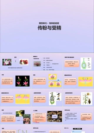 八年级生物上册 第四单元 物种的延续 第一章 绿色开花植物的一生 第二节 传粉与受精课件(新版)济南版 课件