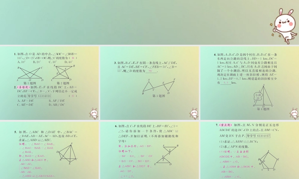 八年级数学上册 第十二章 全等三角形 12.2 三角形全等的判定 第2课时 用 SAS 判定两个三角形全等习题课件 (新版)新人教版 课件