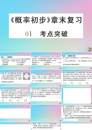 九年级数学上册 第25章(概率初步)章末复习作业课件 (新版)新人教版 课件