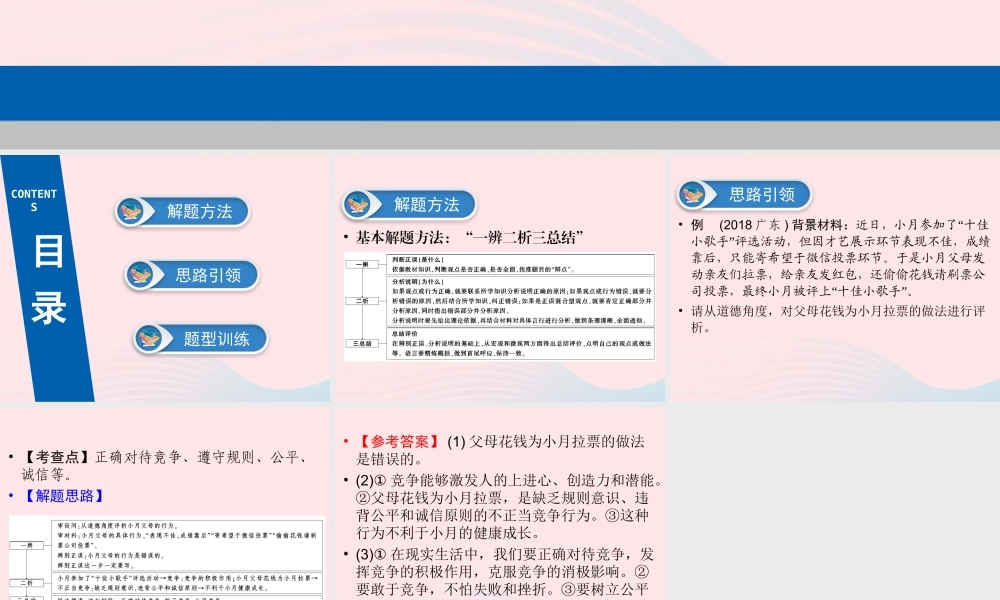 广东省版中考道德与法治 专题复习3 辨析题课件