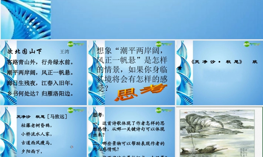 八年级语文下册(天净沙·秋思)课件 苏教版 课件