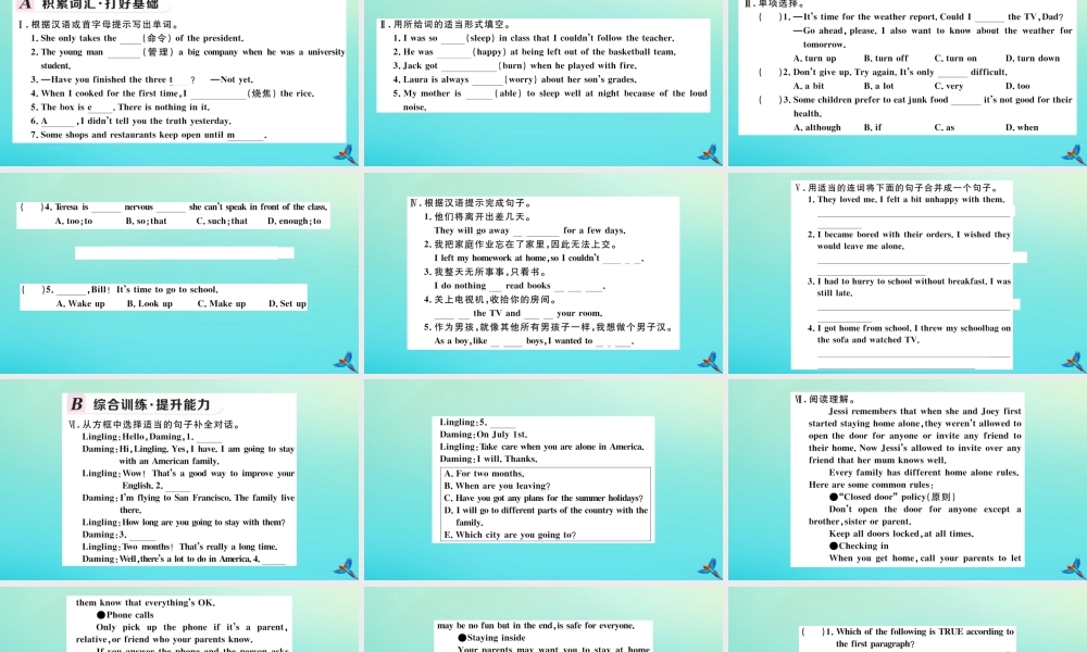 九年级英语上册 Module 4 Home alone Unit 2 I became so bored with their orders that I wished they would leave me alone习题课件 (新版)外研版 课件