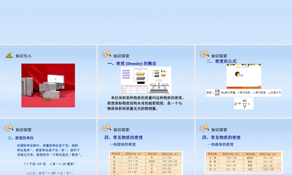 九年级物理 密度综合教学课件 人教新课标版 课件