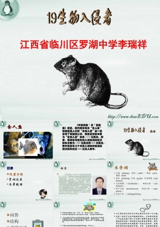 八年级语文生物入侵者课件 人教版 课件