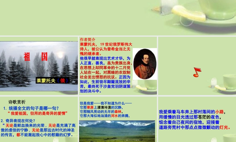 九年级语文 外国诗两首课件1 新人教版 课件