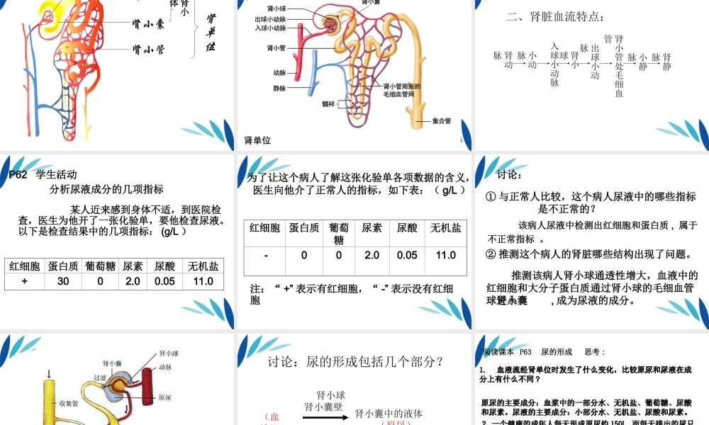 七年级生物下册 尿的形成和排出课件 北师大版 课件