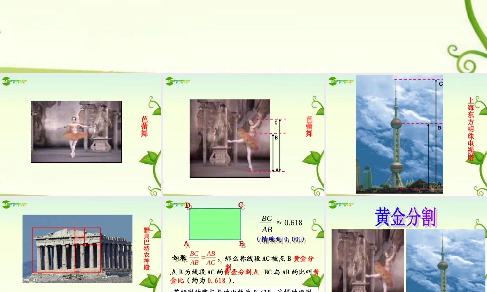八年级数学下册 10.2黄金分割课件 苏科版 课件