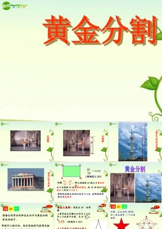 八年级数学下册 10.2黄金分割课件 苏科版 课件