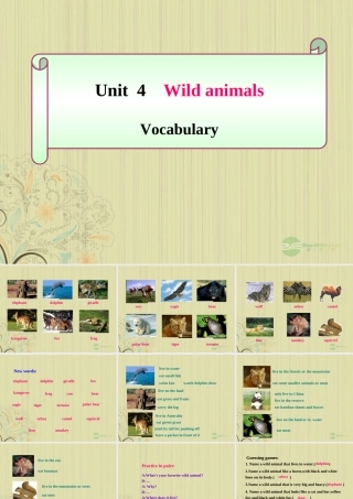 八年级英语上册(Unit 4 Wild animals)Vocabulary课件 牛津译林版 课件