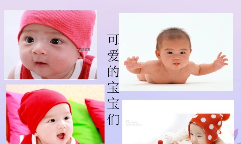 八年级生物上册 第四单元 物种的延续 第四章 生物的遗传与变异 第五节 人类优生与基因组计划课件(新版)济南版 课件