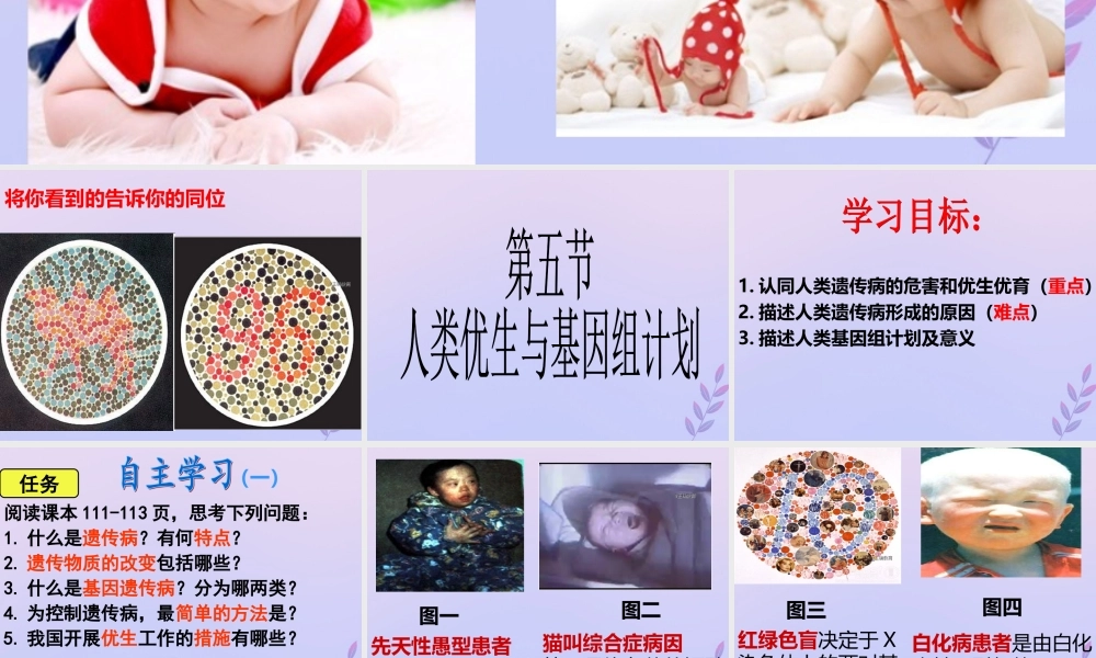 八年级生物上册 第四单元 物种的延续 第四章 生物的遗传与变异 第五节 人类优生与基因组计划课件(新版)济南版 课件