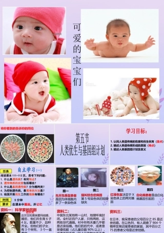 八年级生物上册 第四单元 物种的延续 第四章 生物的遗传与变异 第五节 人类优生与基因组计划课件(新版)济南版 课件