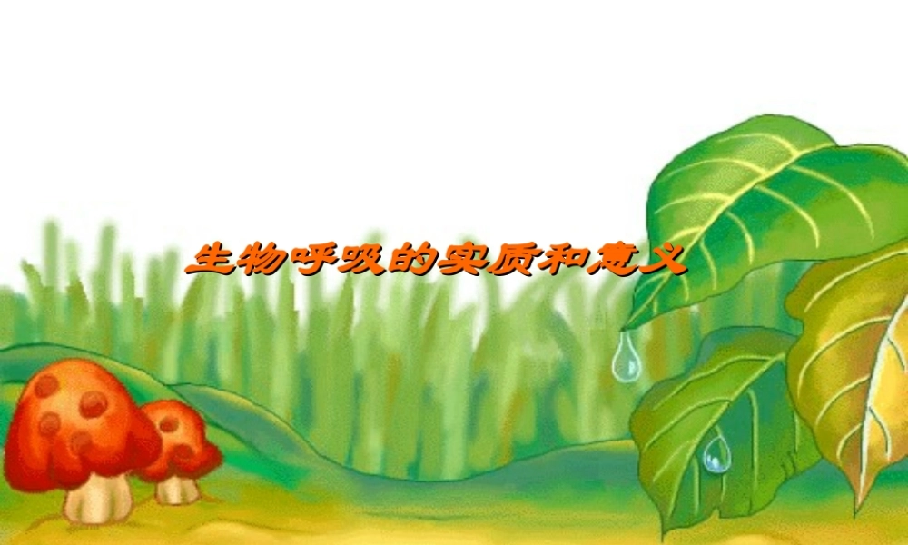 七年级生物 呼吸的实质和意义课件 人教新课标版 课件