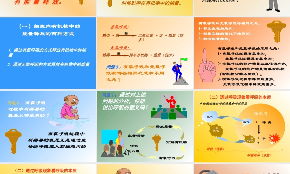 七年级生物 呼吸的实质和意义课件 人教新课标版 课件