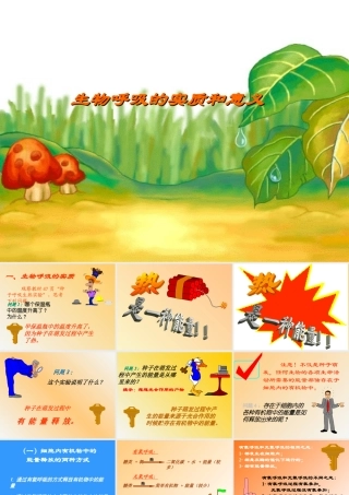 七年级生物 呼吸的实质和意义课件 人教新课标版 课件