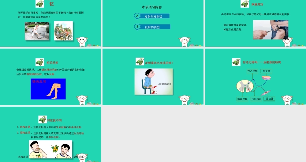 七年级生物下册 4.6.3(神经调节的基本方式)预习课件 (新版)新人教版 课件