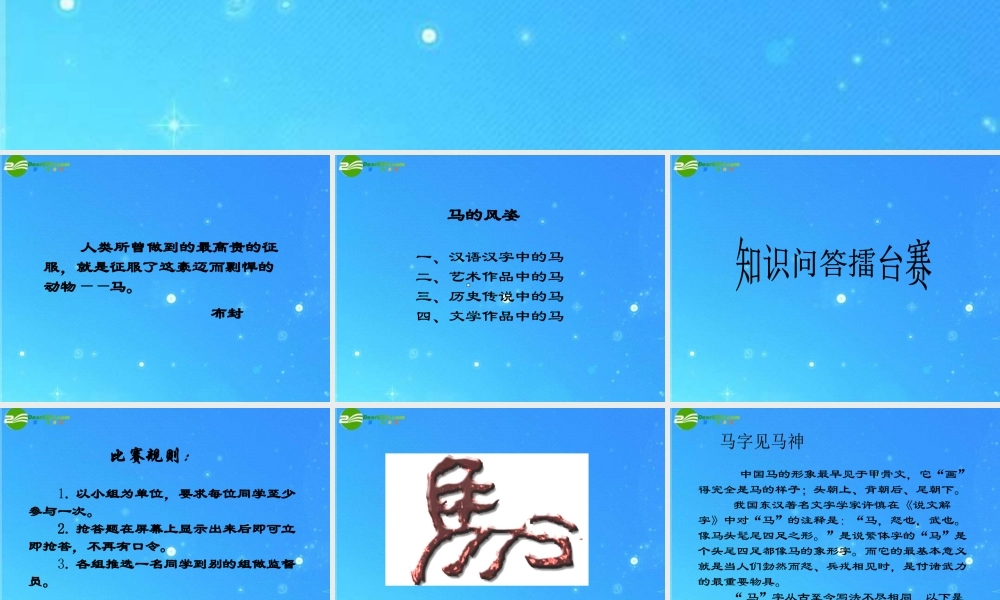 七年级语文下册 之(综合性学习马的世界)课件 人教新课标版 课件