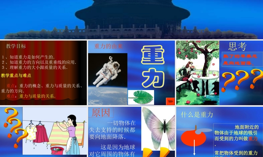 九年级物理重力[整理]人教版 课件