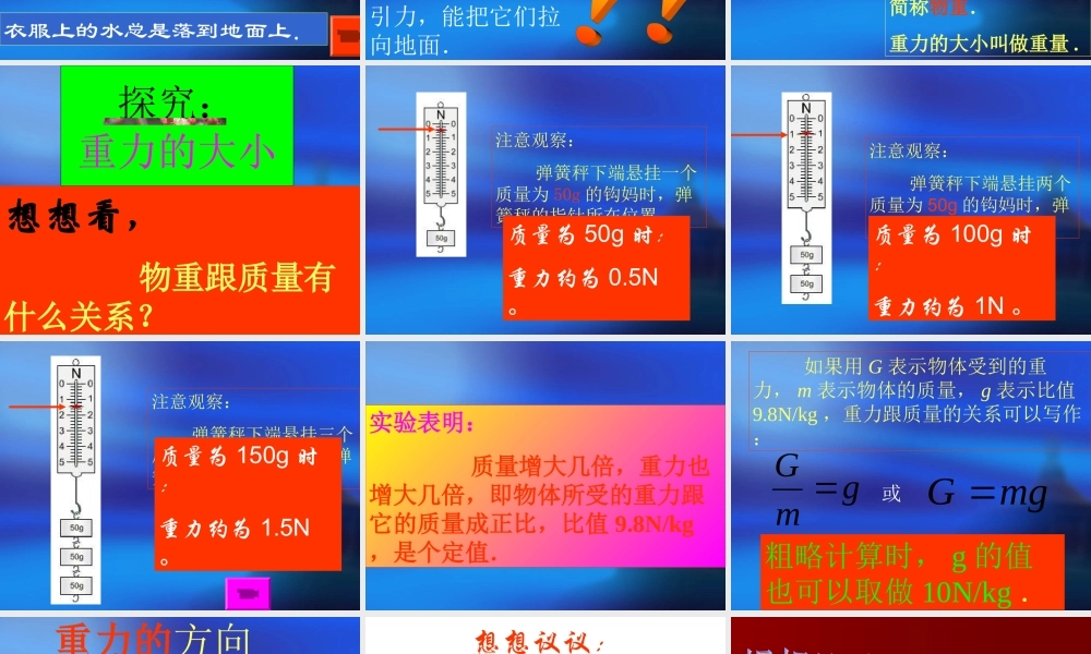 九年级物理重力[整理]人教版 课件