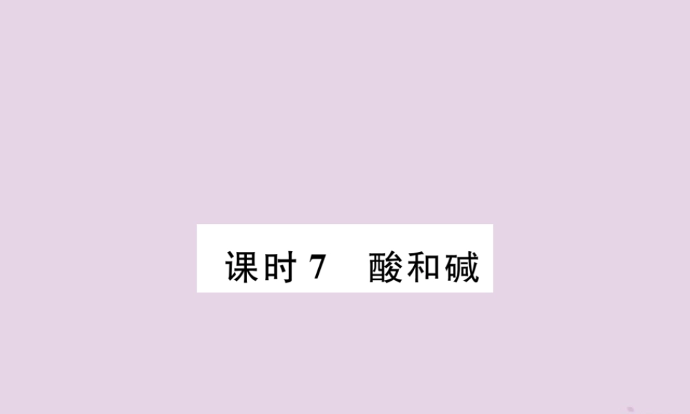 中考化学总复习 第1编 主题复习 模块1 身边的化学物质 课时7 酸和碱(精讲)课件