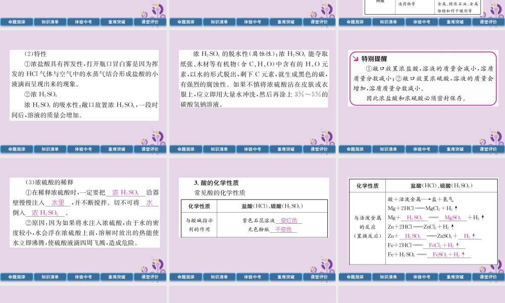 中考化学总复习 第1编 主题复习 模块1 身边的化学物质 课时7 酸和碱(精讲)课件
