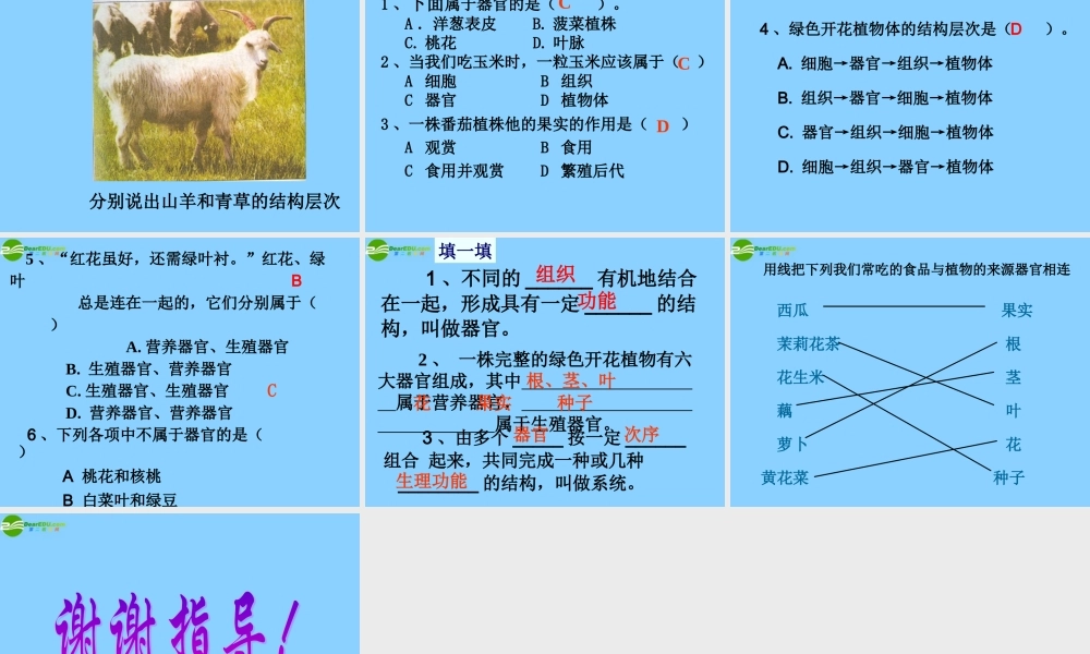 七年级生物上册 多细胞生物体的结构层次课件 济南版 课件