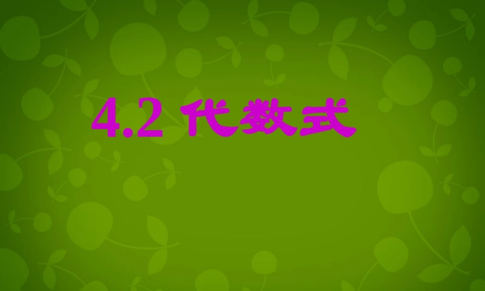 中学七年级数学上册 4.2 代数式课件 (新版)浙教版 课件