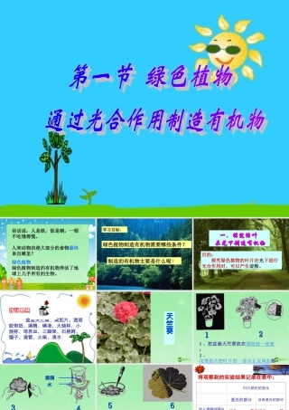 七年级生物上册 第一节(绿色植物通过光合作用制造有机物)课件 新人教版 课件
