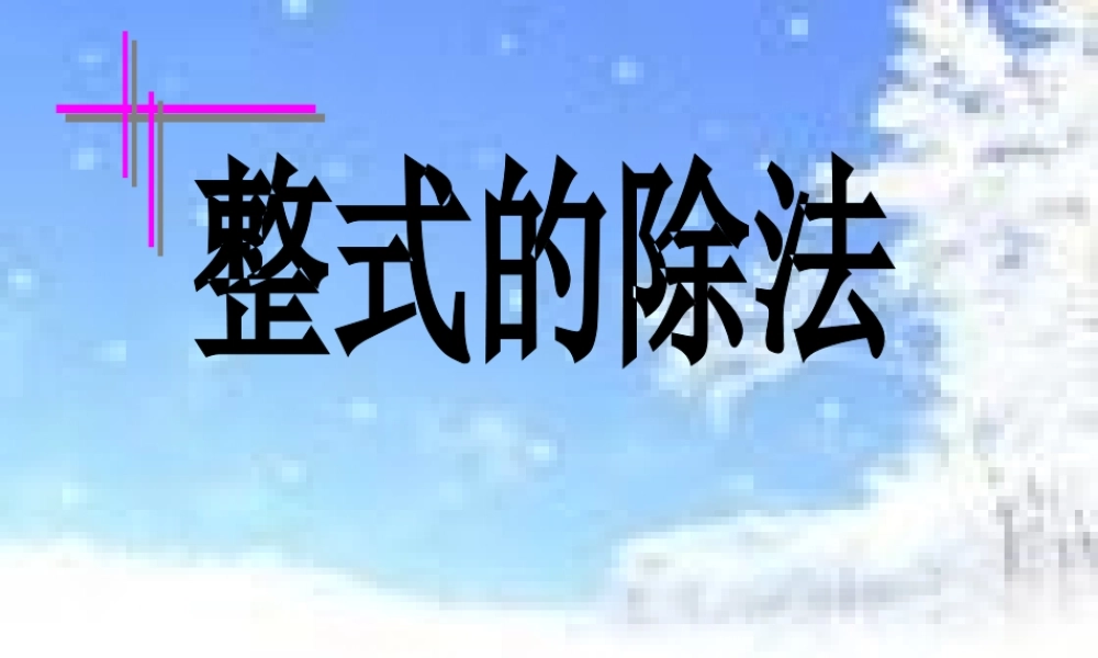 八年级数学上册 整式除法的教学课件 人教新课标版 课件