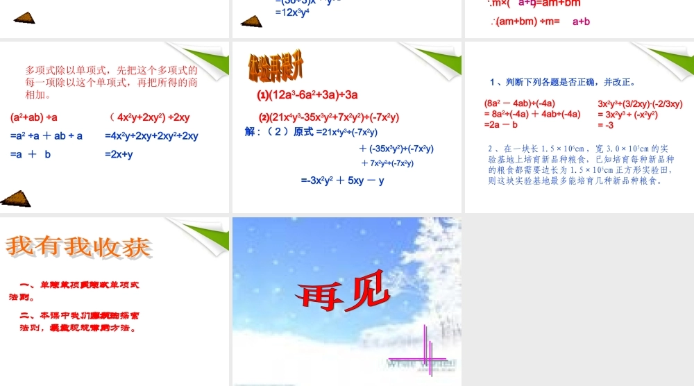 八年级数学上册 整式除法的教学课件 人教新课标版 课件