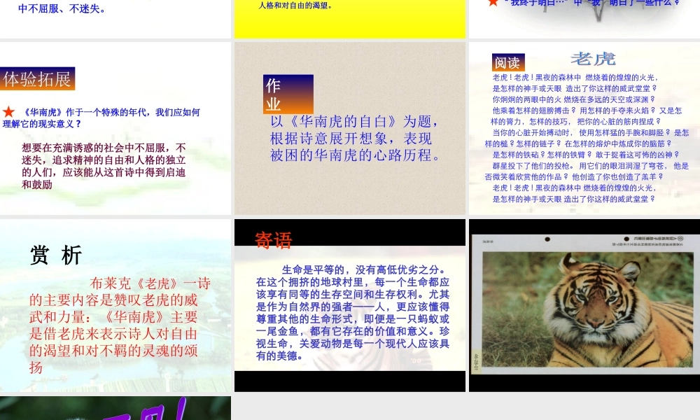 七年级语文华南虎课件