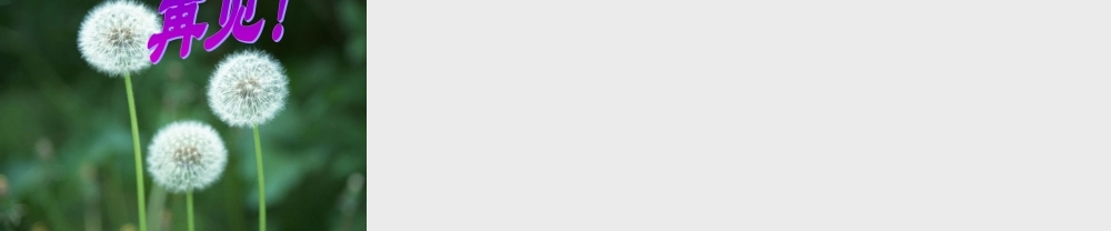 七年级语文华南虎课件