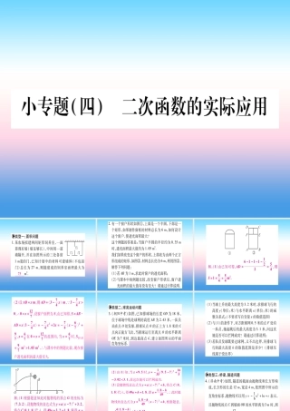 九年级数学下册 小专题(四)二次函数的实际应用课堂导练课件(含中考真题)(新版)北师大版 课件