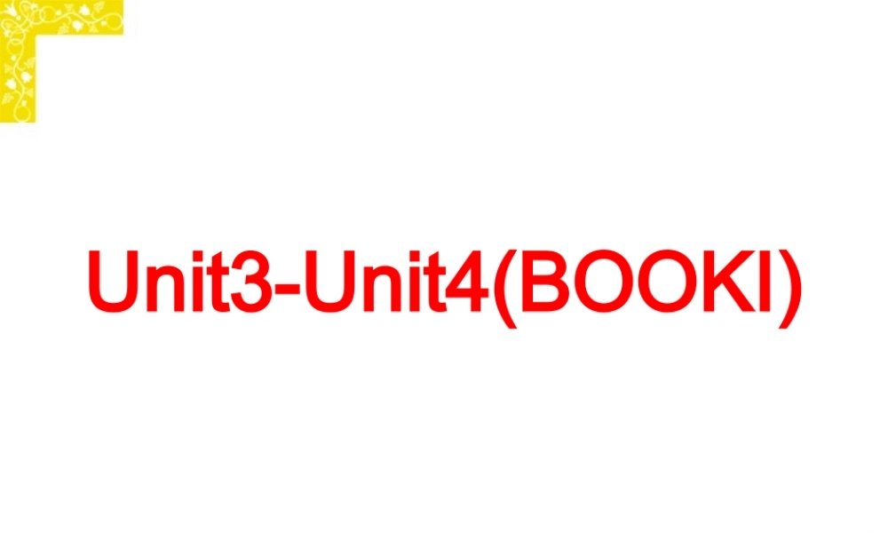 广东省高考英语复习Unit3-Unit4课件 新课标 人教版 课件