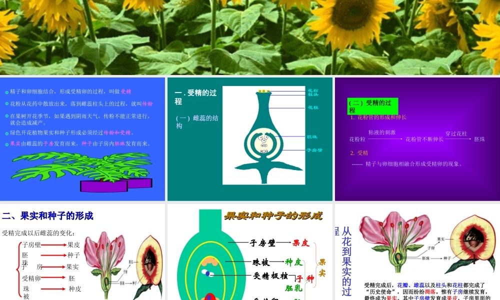 八年级生物：第三节 果实和种子的形成课件人教版 课件